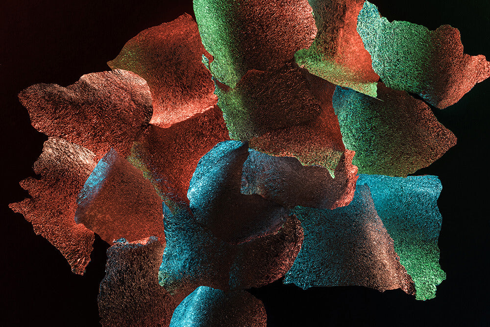 Abstract 3D organic shapes in red, green and blue on dark background