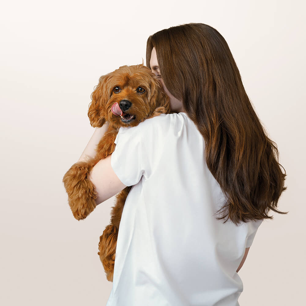 Woman holding a brown dog against a plain background