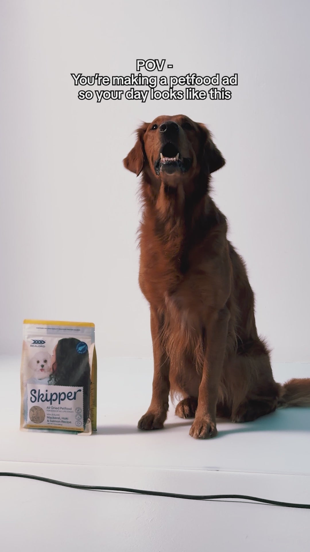 Making of petfood ad
